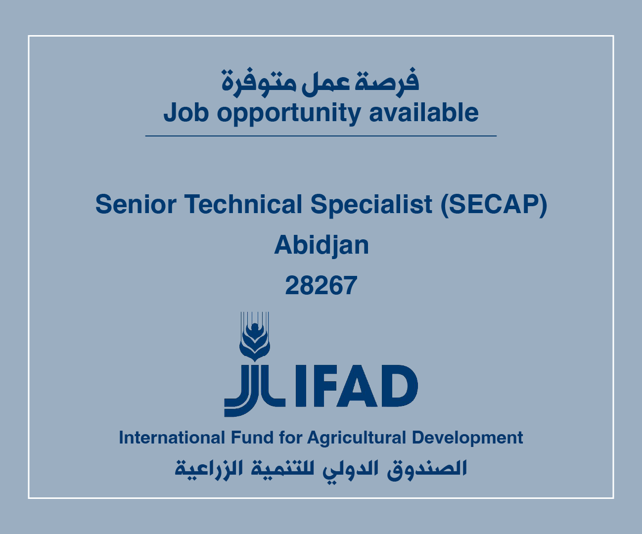 Job Vacancy in IFAD