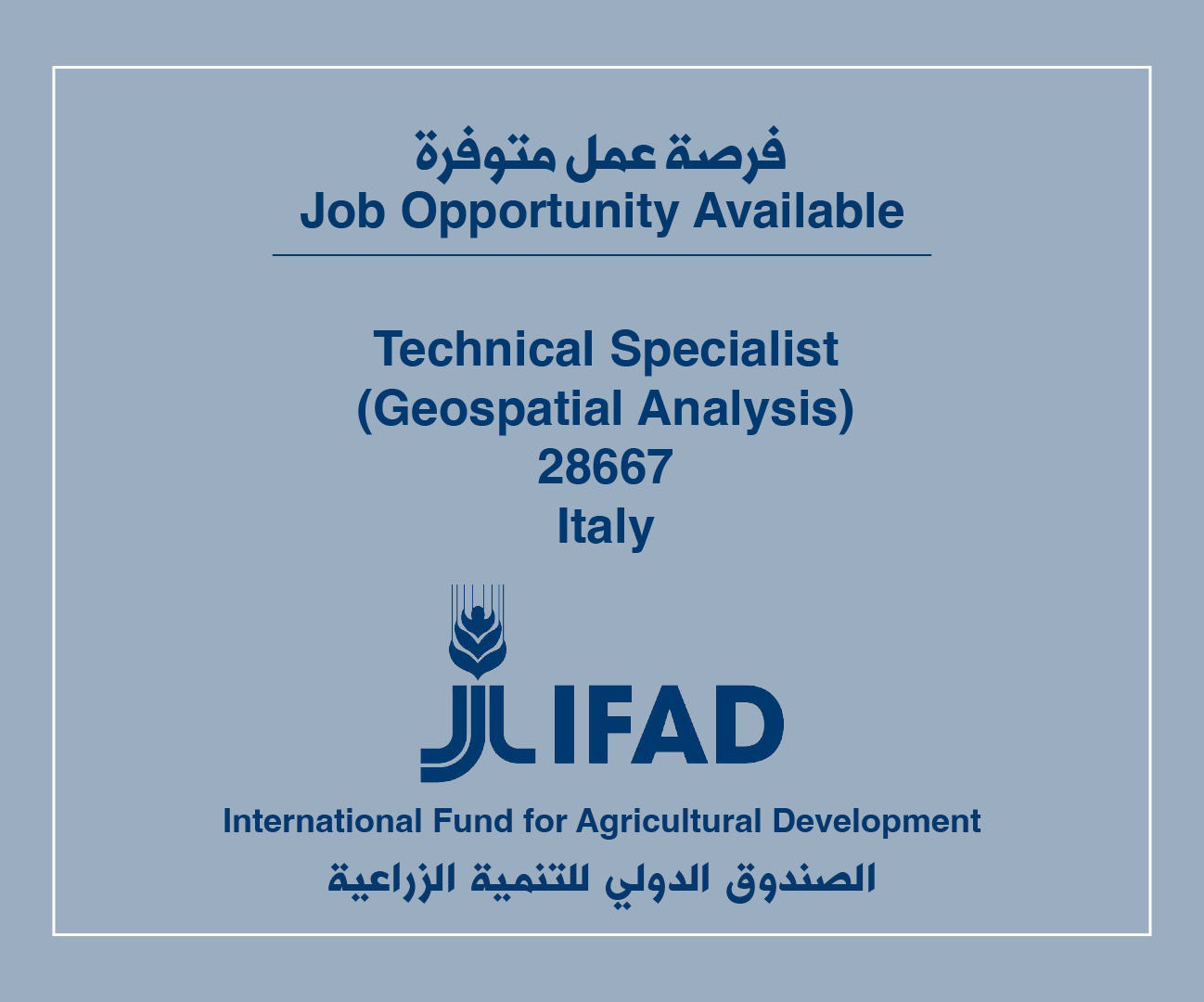 Job Vacancy in IFAD