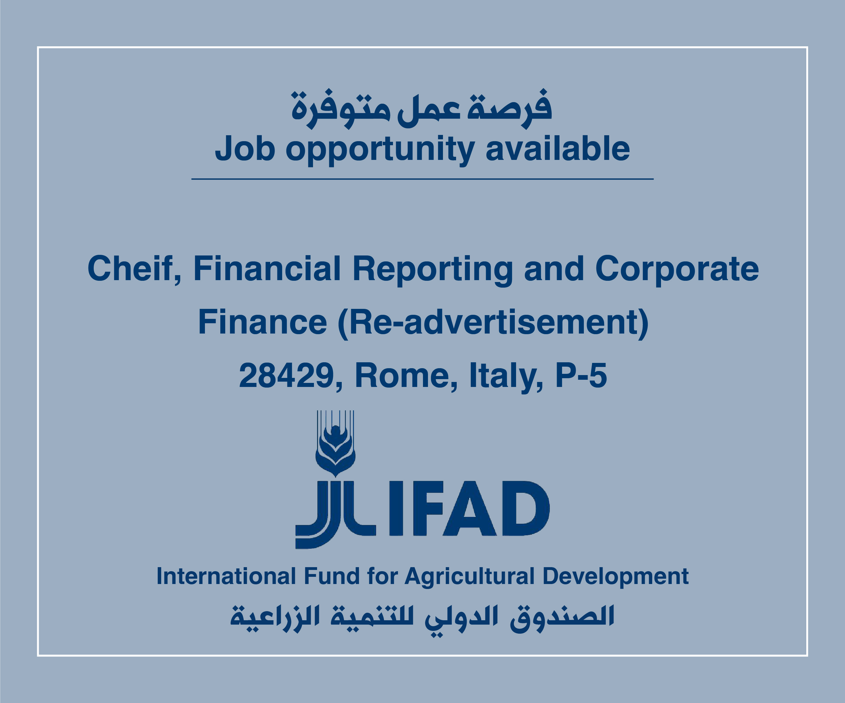 Job Vacancy in IFAD