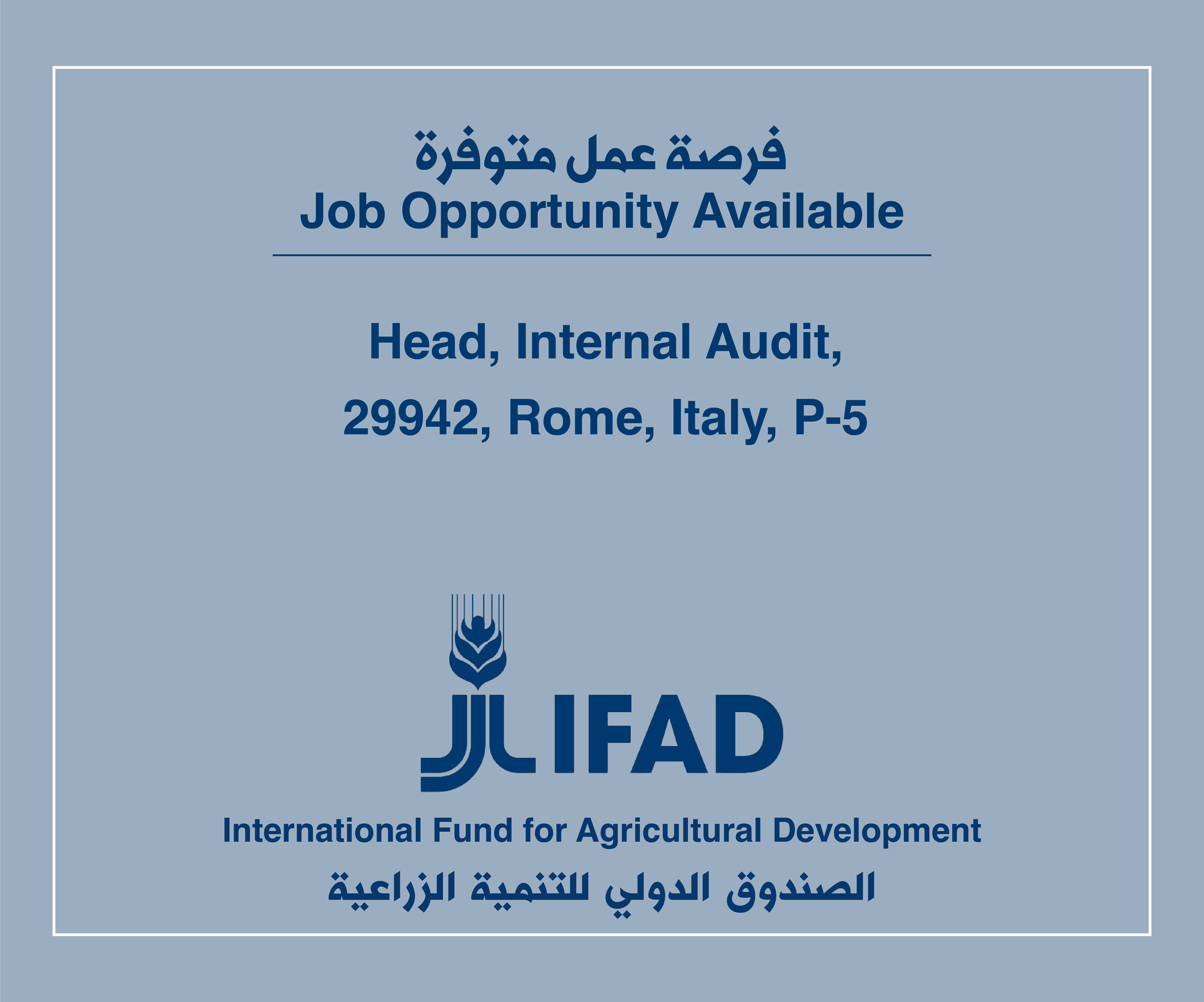 Job Vacancy in IFAD