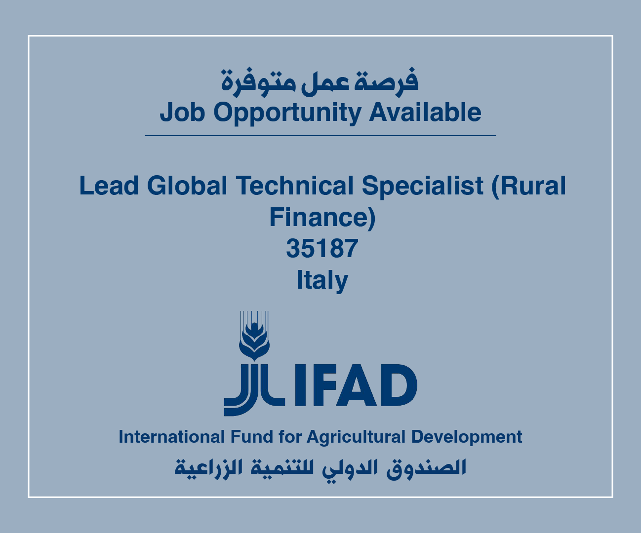 Job Vacancy in IFAD