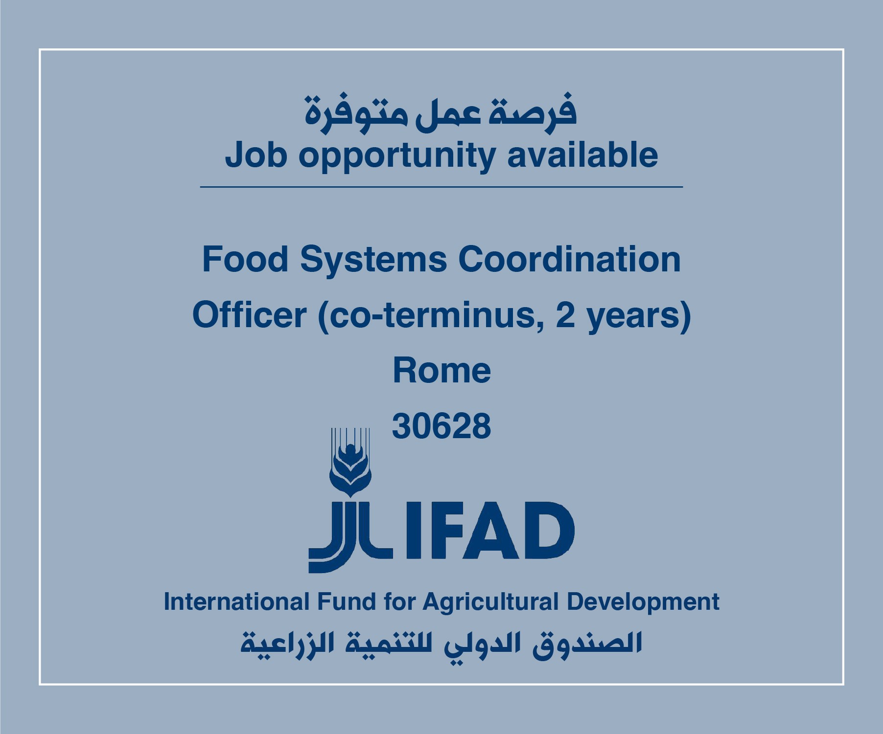 Job Vacancy in IFAD