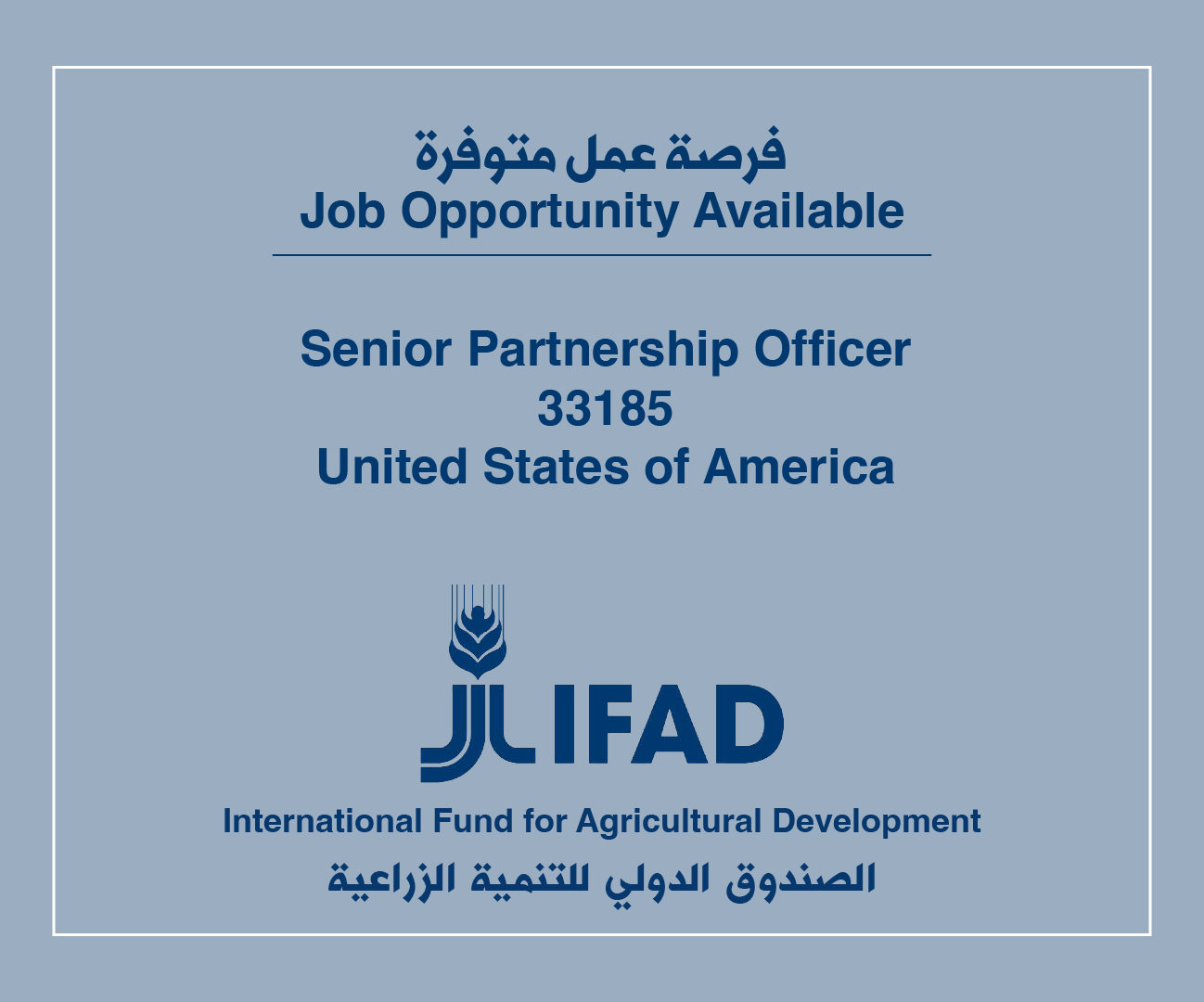 Job Vacancy in IFAD