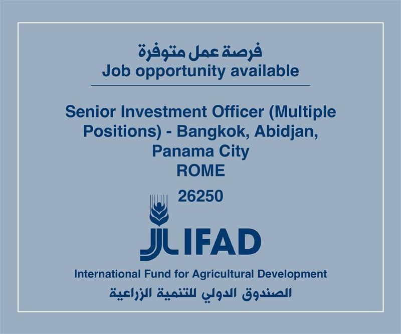 Job Vacancy in IFAD