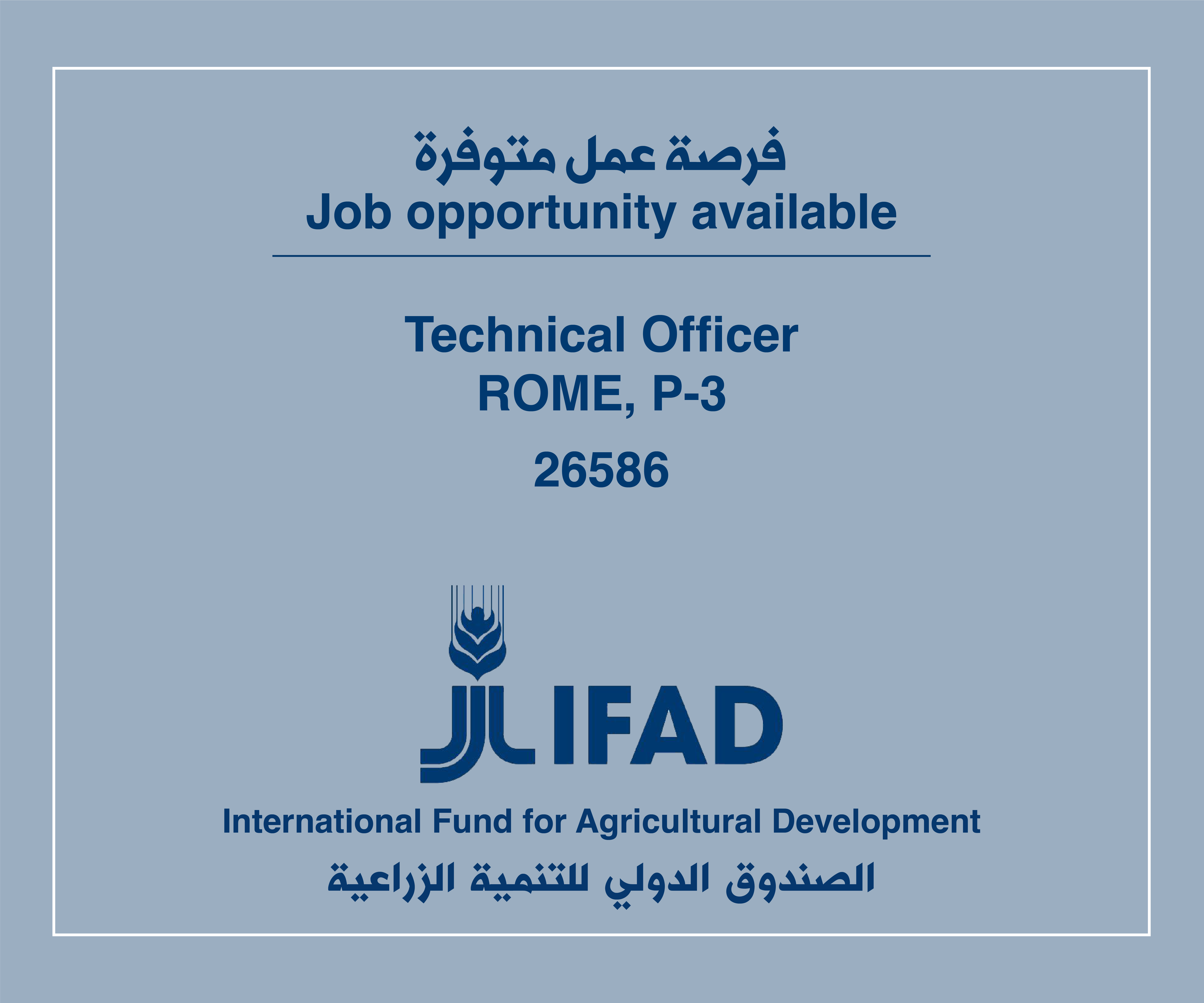 Job Vacancy in IFAD