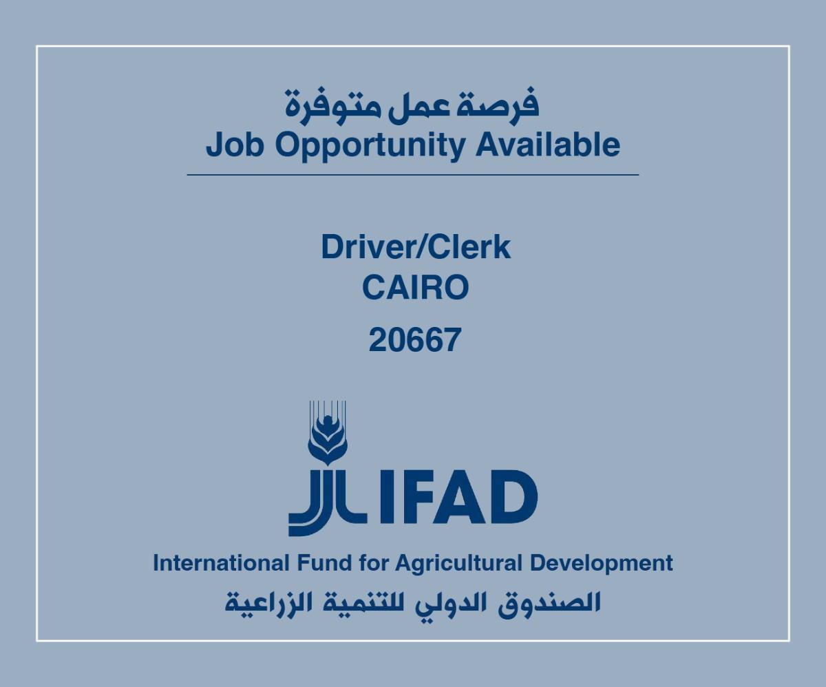 فرص عمل لدى الصندوق الدولي للتنمية الزراعية