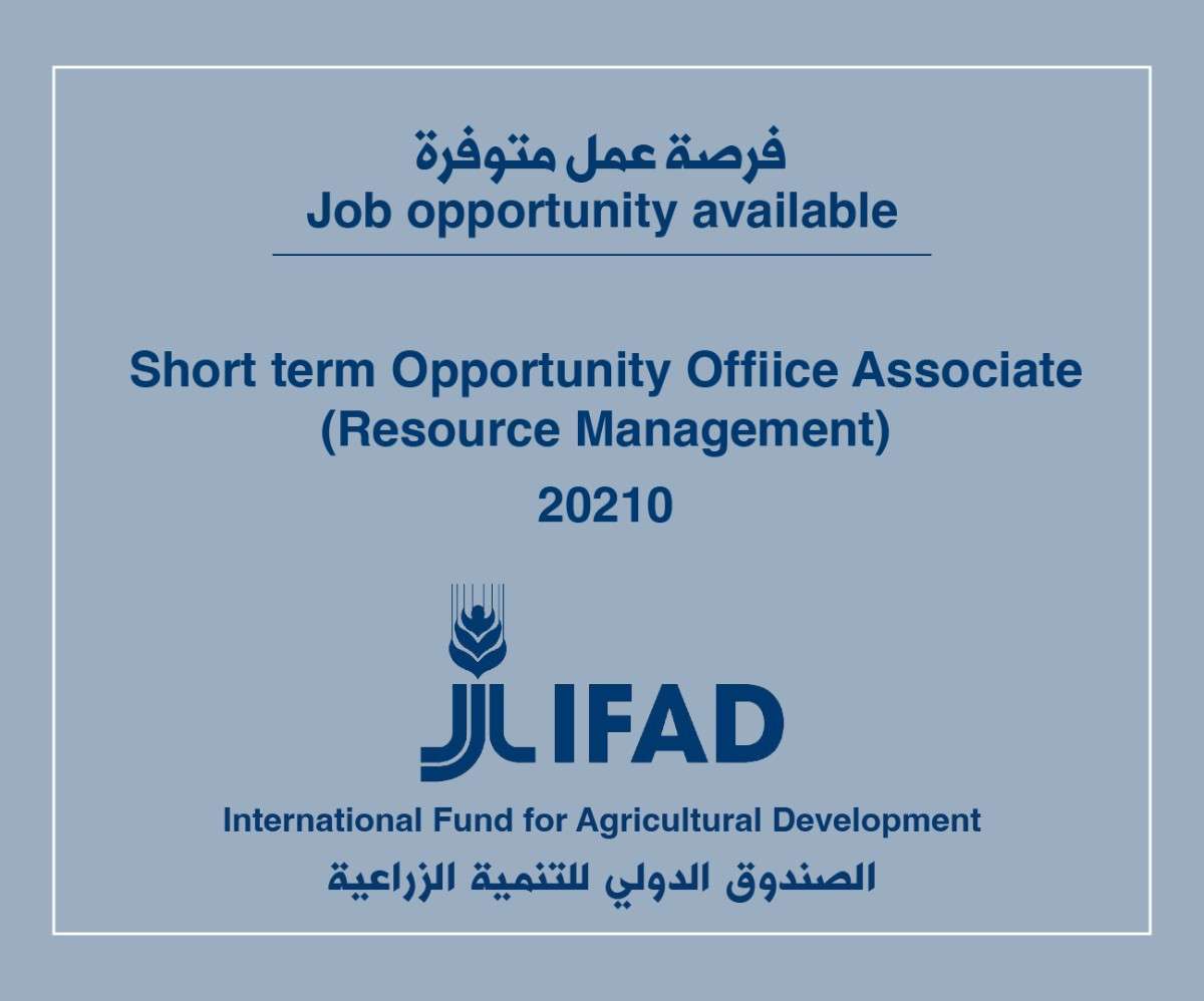 فرصة عمل لدى الصندوق الدولي للتنمية الزراعية