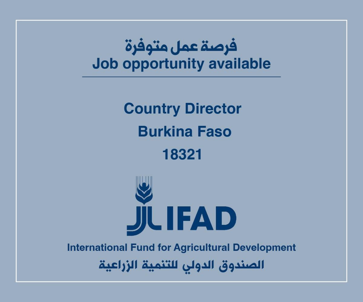 فرصة عمل لدى الصندوق الدولي للتنمية الزراعية
